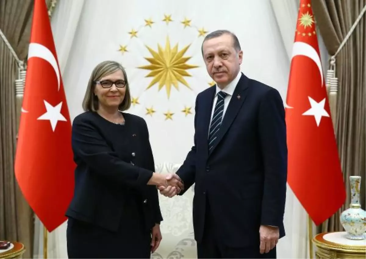 Cumhurbaşkanı Erdoğan\'a Finlandiya Büyükelçisi\'nden Güven Mektubu