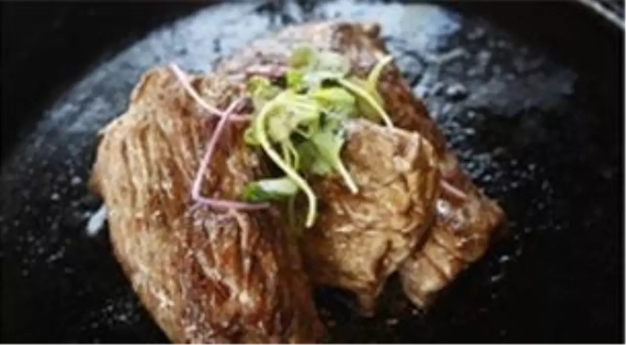 Etler ve Pişirme Teknikleri