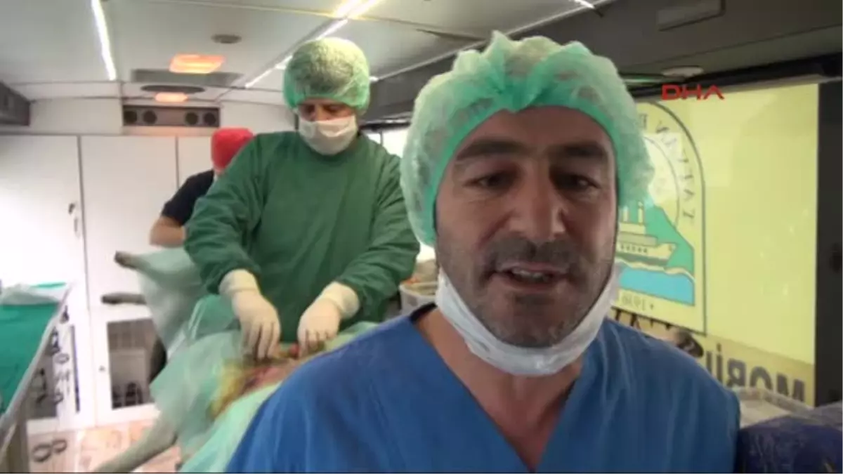 Hakkari\'de 200 Başıboş Sokak Köpeği Kısırlaştırıldı