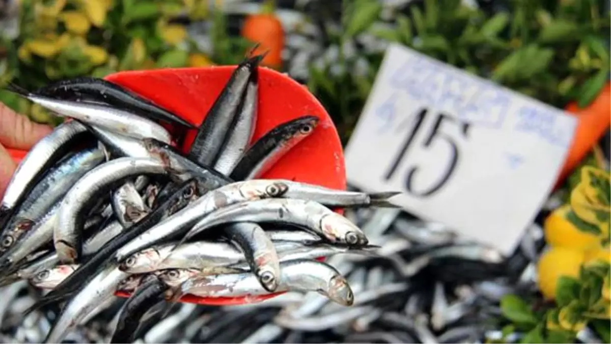 Hava Soğudu Hamsinin Fiyatı Fırladı