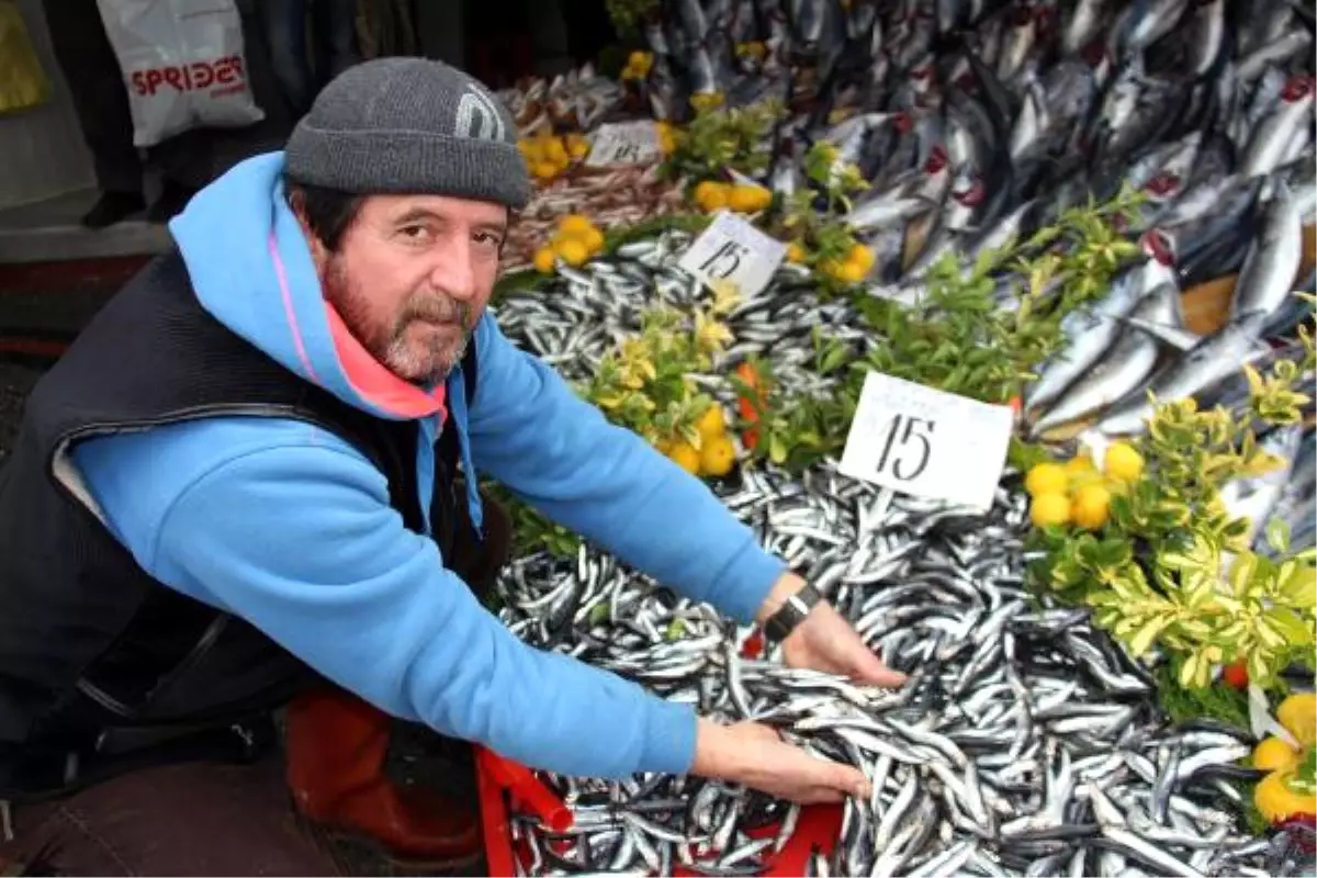 Havalar Soğudu Hamsinin Kilosu 15 Lira Oldu