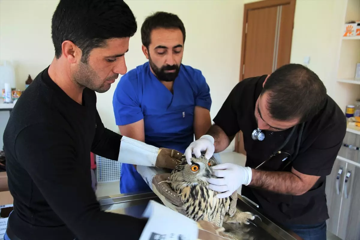 İçişleri Bakanı Soylu Trabzon\'da