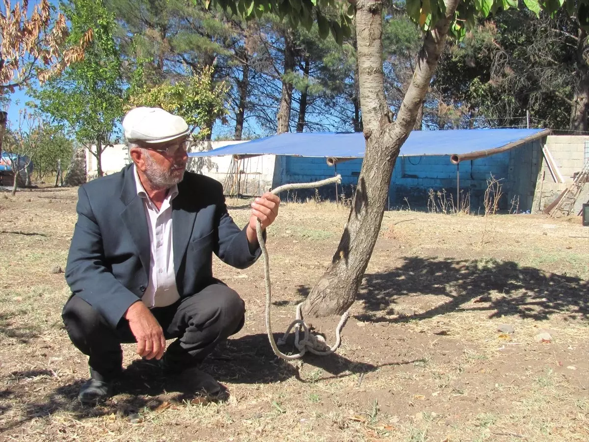 İnekleri Çalınan Vatandaş Yardım İstiyor