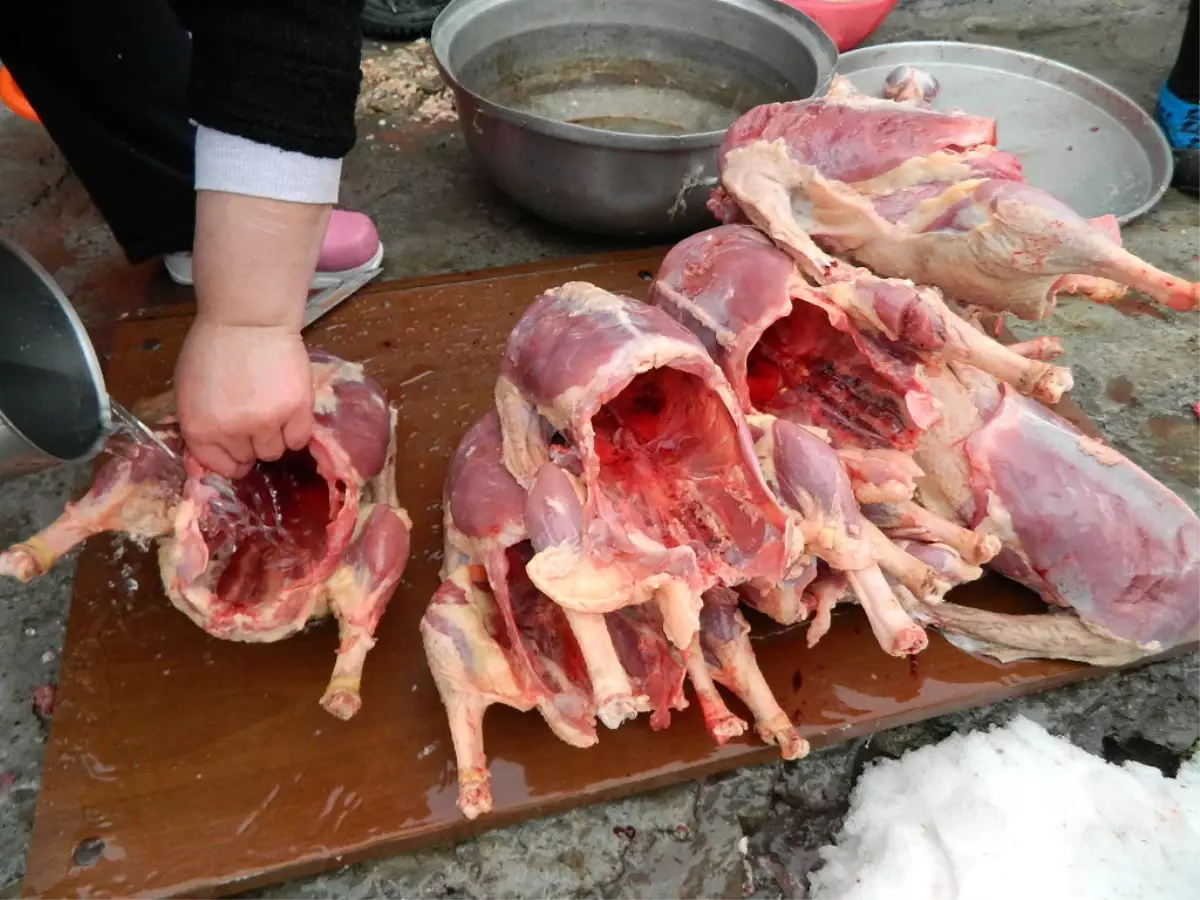 Kars\'ta Kaz Kesimi Başladı