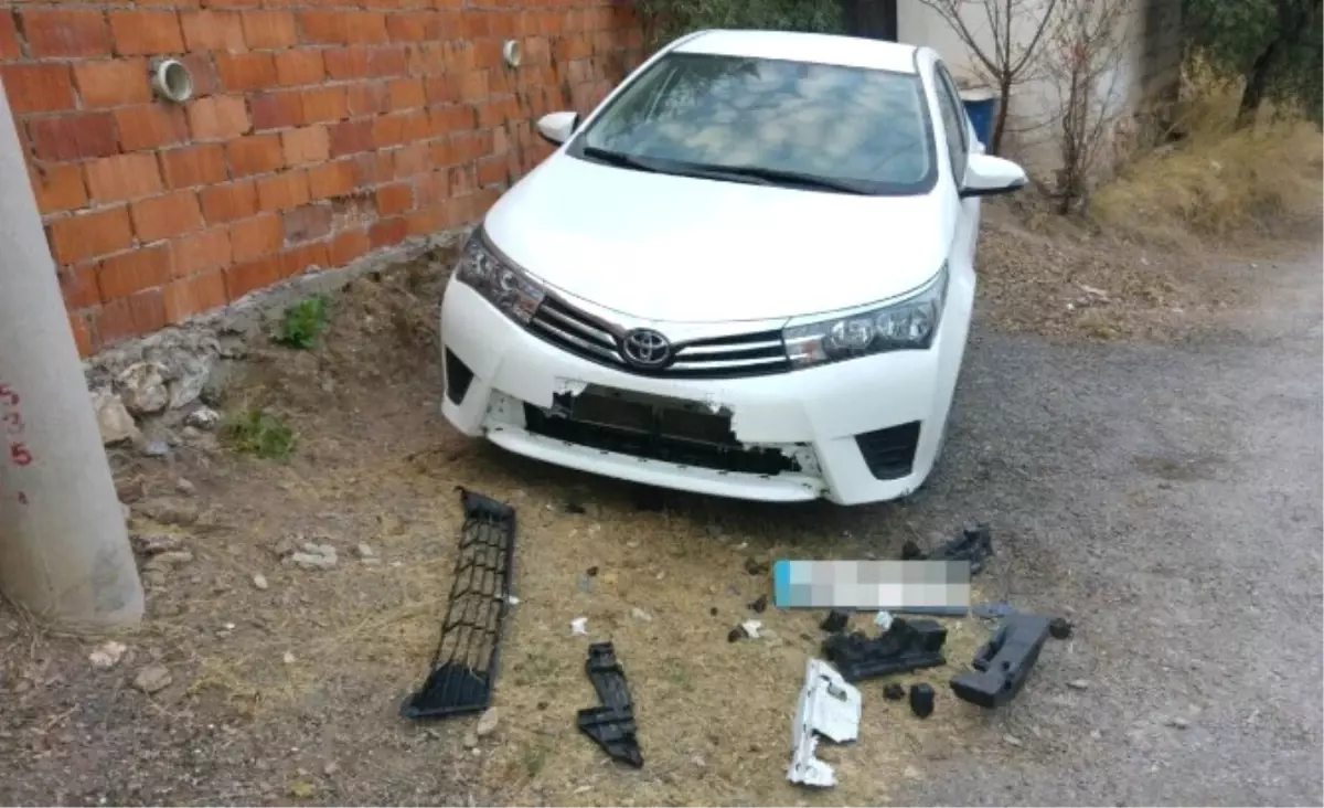 Sokak Köpekleri Yine Bir Araç Parçaladı!