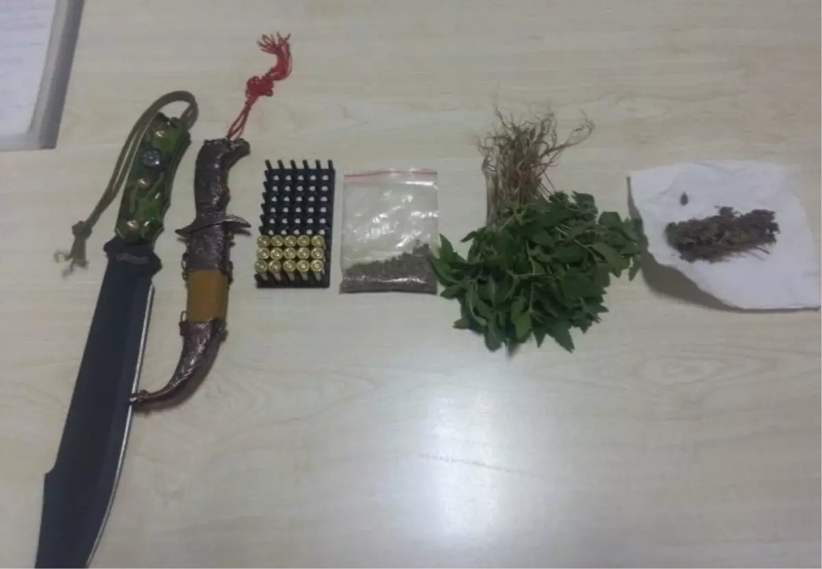 Manavgat\'ta 150 Kök Hint Keneviri Ele Geçirildi