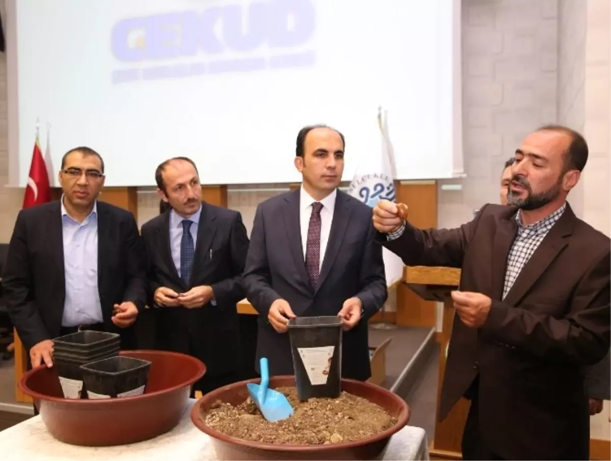 Minik Ellerde Büyük İşler-Tohumdan Fidana Projesi Tanıtıldı