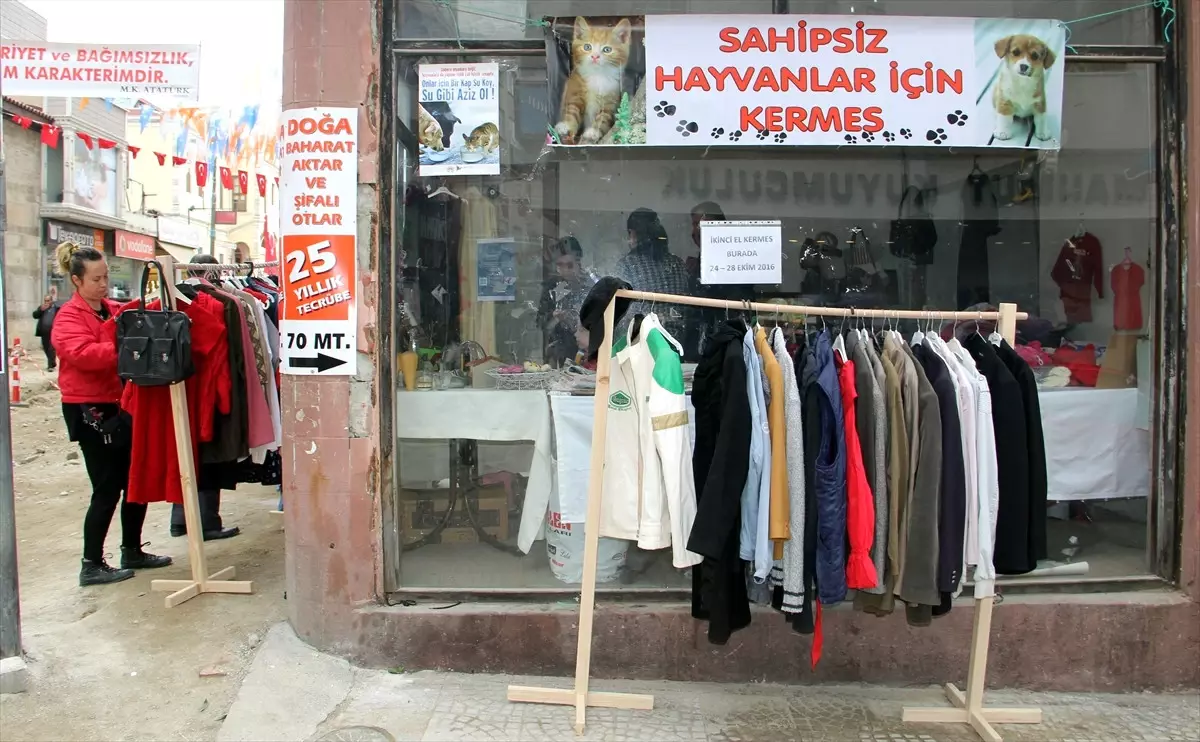Sinop\'ta Sokak Hayvanları İçin Kermes