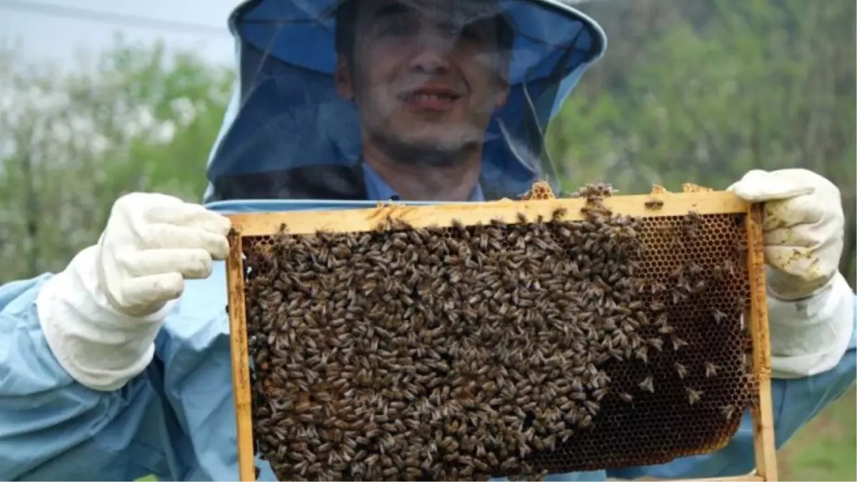 Türkiye\'nin Balı Dünyada Marka Olacak\'