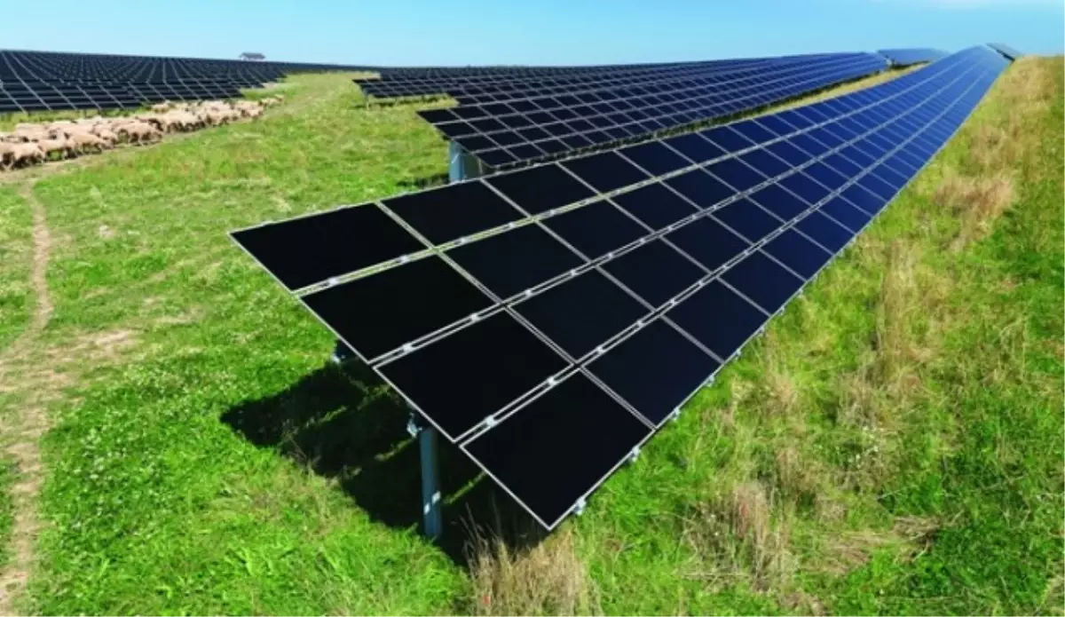 Enerji Yatırımcılarından \'İhale\' Talebi