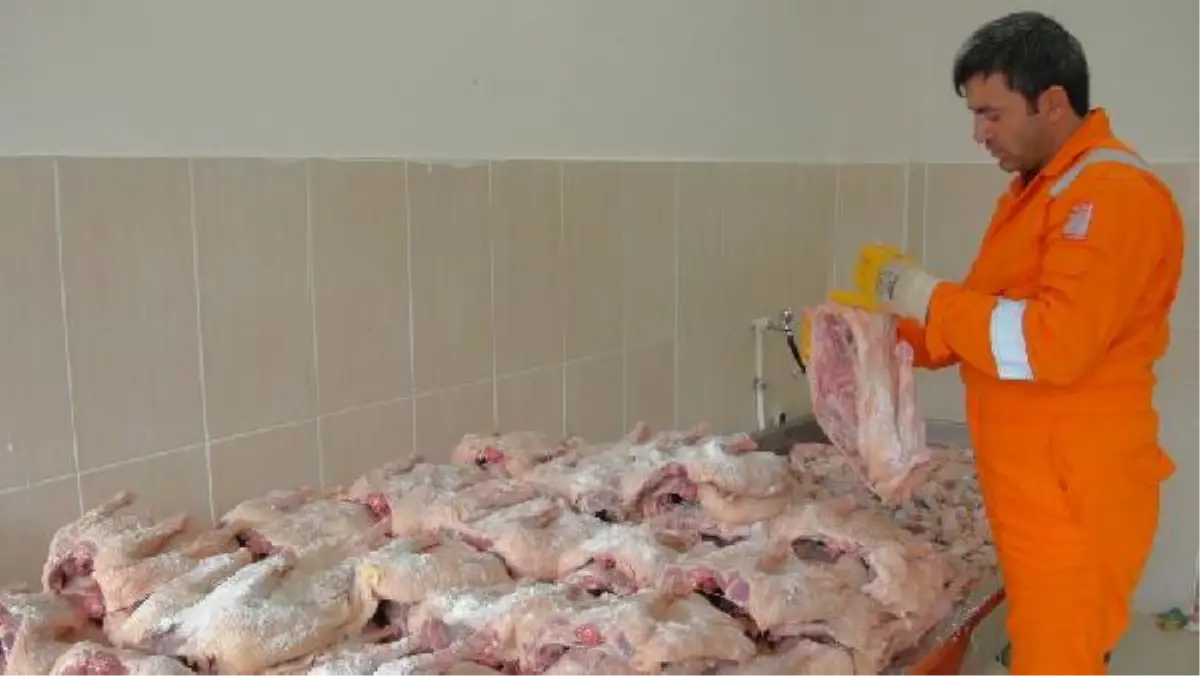 Hem Lezzetli Hem Değerli! Kars\'ta Kar Yiyen Kazların Kesimi Başladı