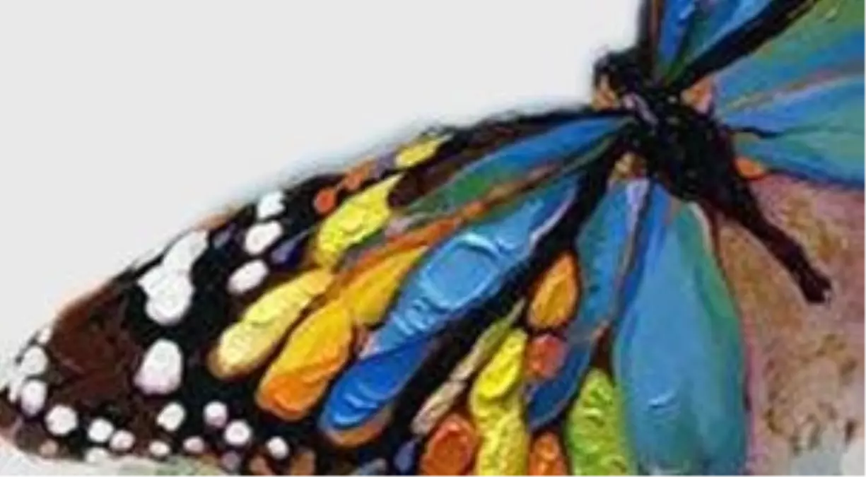 Masterpiece - Kelebek