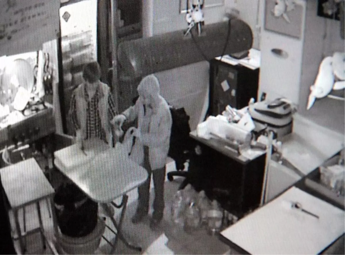 Para İçin Girdiler, Balık Çalıp Gittiler