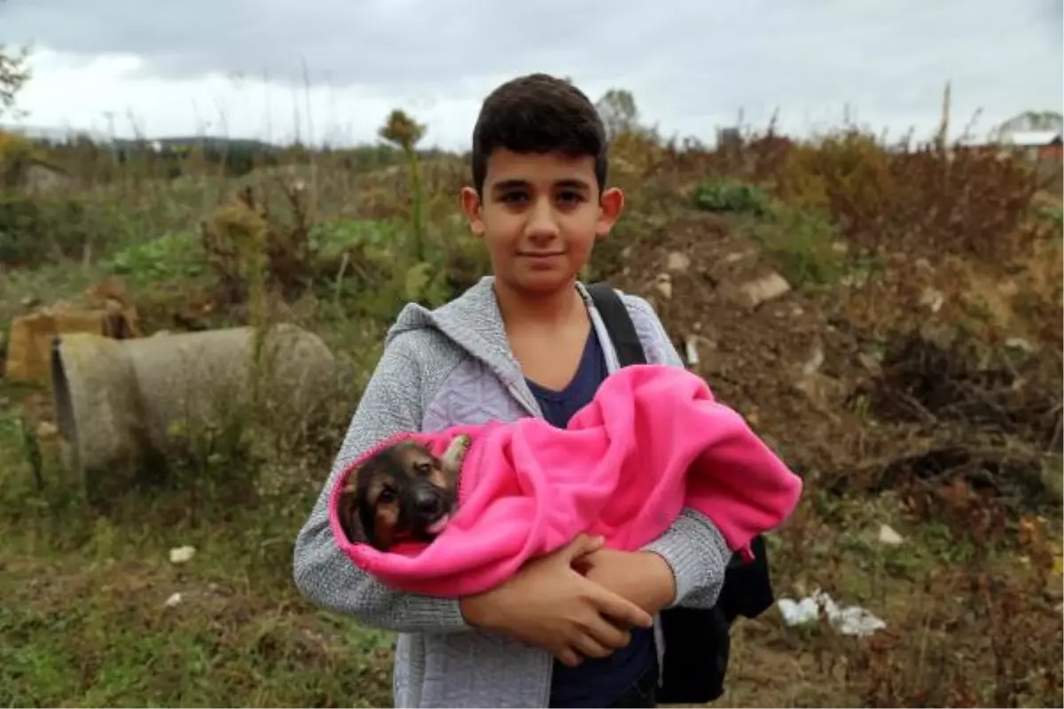 Rögara Düşen Köpek Yavrusunu İtfaiye Kurtardı