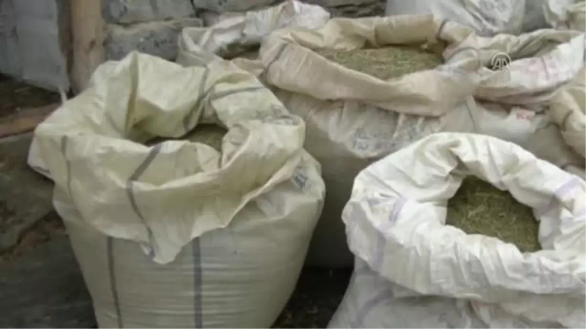 Terör Örgütüne Darbe Daha