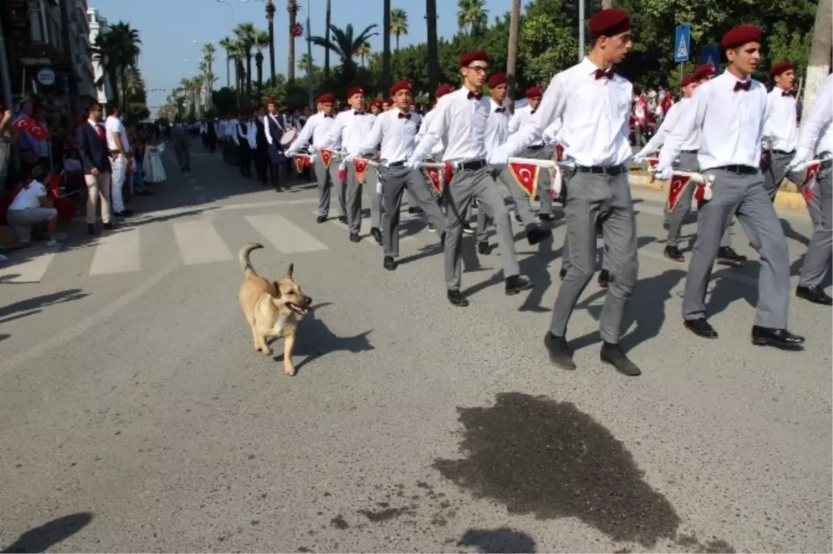 Tören Geçidinde Köpek Sürprizi