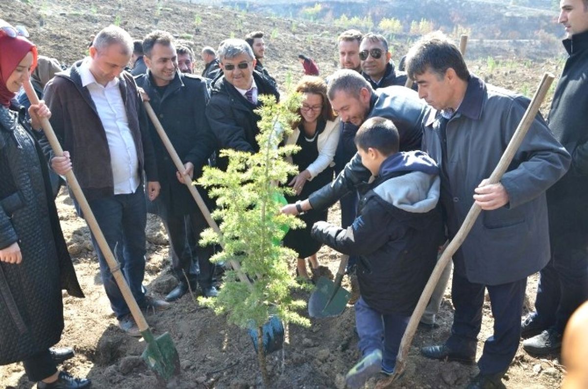 Çanakkale\'de Ömer Halisdemir Hatıra Ormanı Oluşturuldu