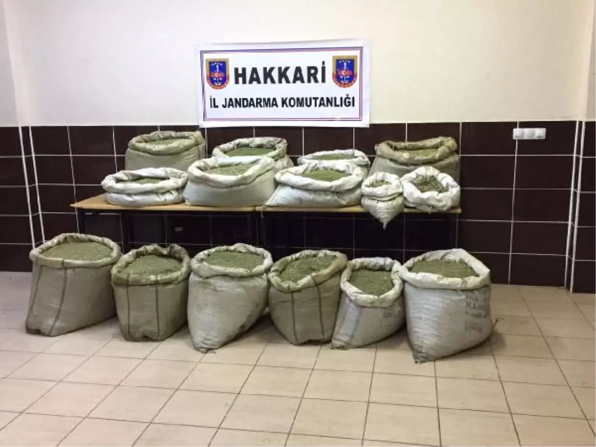 Hakkari\'de PKK\'ya Ait 327 Kilo Esrar Ele Geçirildi