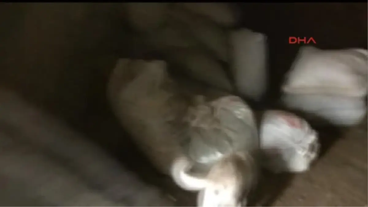 Hakkari\'de PKK\'ya Ait 327 Kilogram Esrar Ele Geçirildi