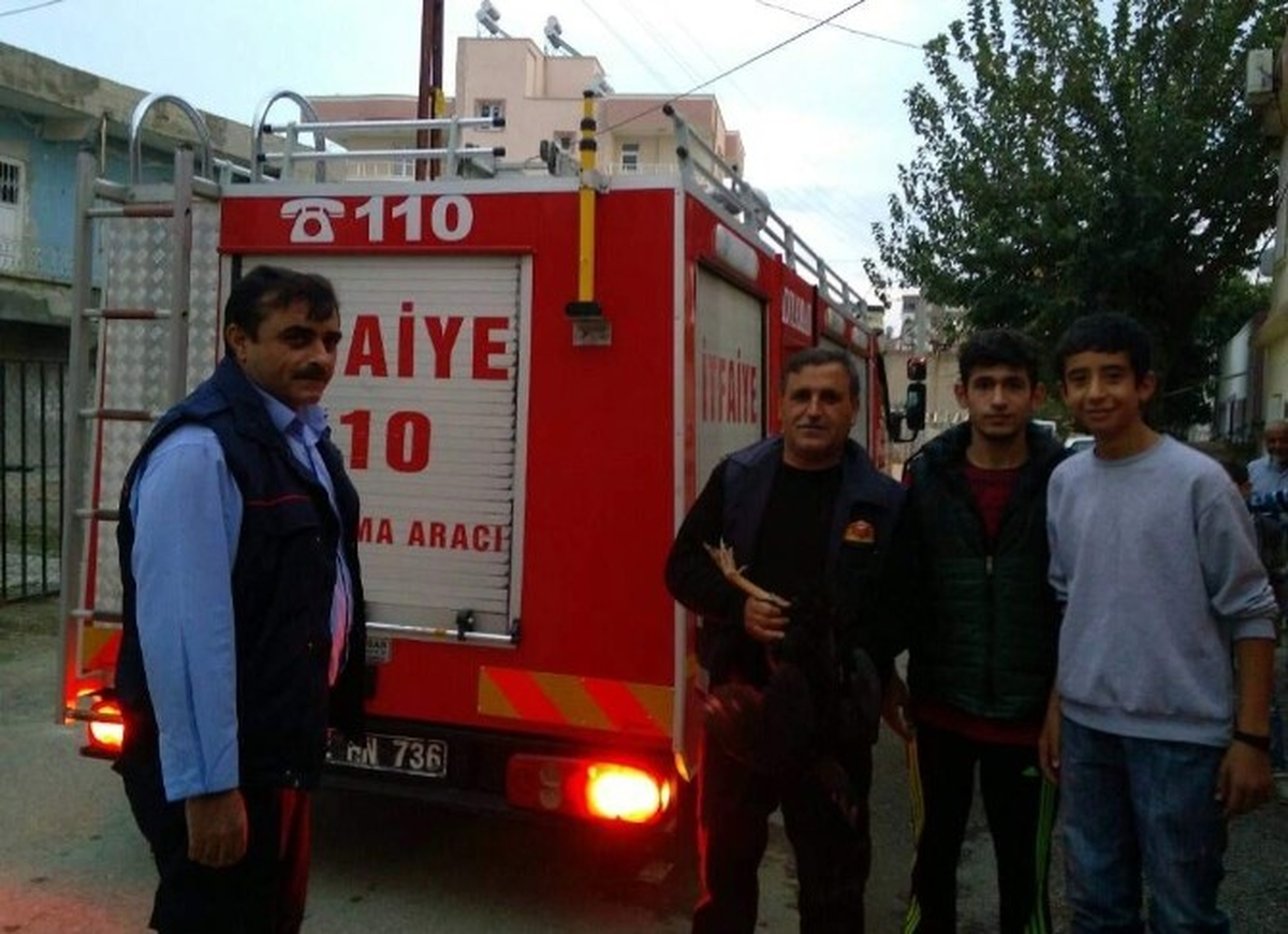 Boru İçerisine Sıkışan Tavuk İtfaiye Ekipleri Tarafından Kurtarıldı