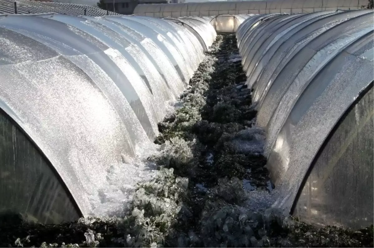 Meteorolojiden Zirai Don ve Buzlanmaya Karşı Uyarı