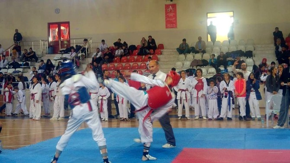 Mudanya\'da Tekvando Şampiyonası