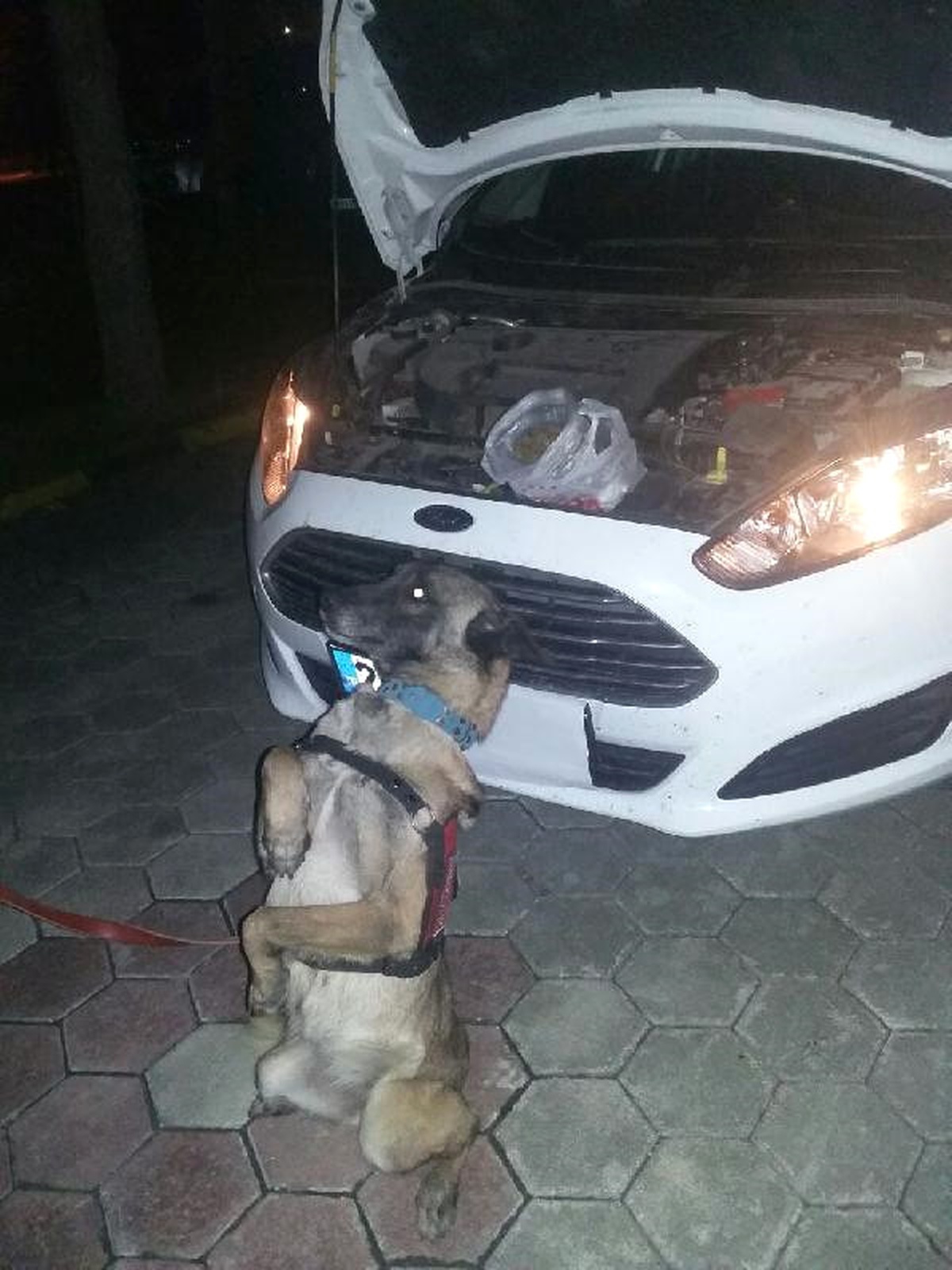 Otomobildeki 305 Gram Uyuşturucuya 2 Gözaltı