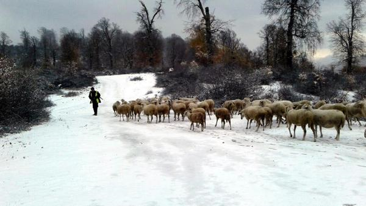 Sakarya ve Kocaeli\'nin Yüksek Kesimlerine Kar Yağdı