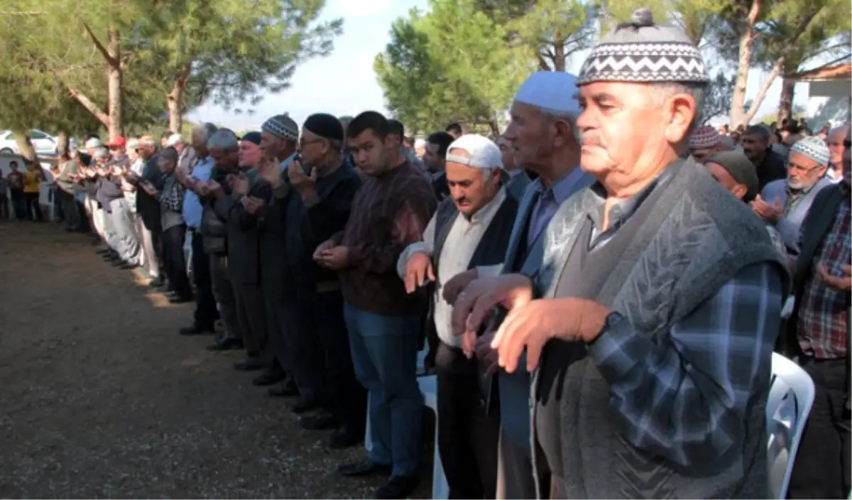 Zeytin İçin Yağmur Duasına Çıktılar