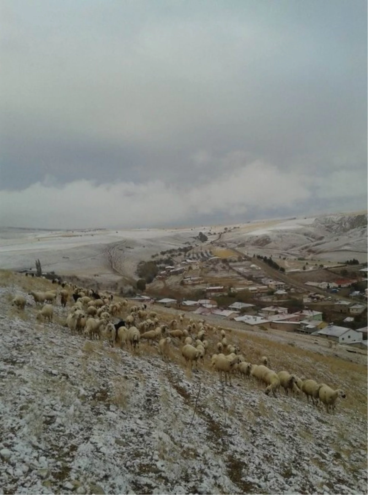 Gürün\'de Mevsimin İlk Karı Yağdı