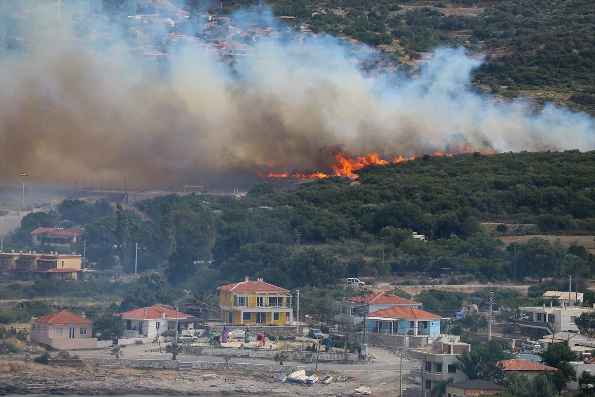 İzmir\'in Ciğerlerini Yakan Yangının İzleri Siliniyor