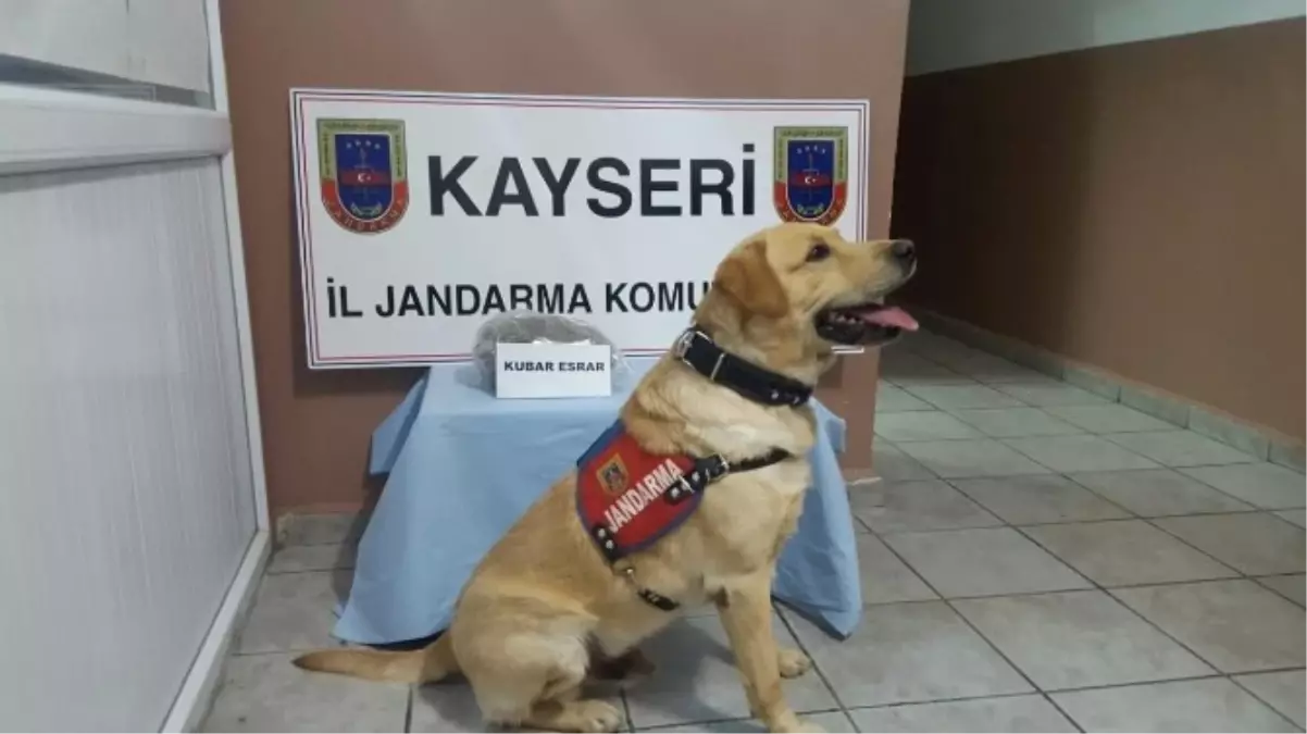 Jandarma\'dan Uyuşturucu Operasyonu