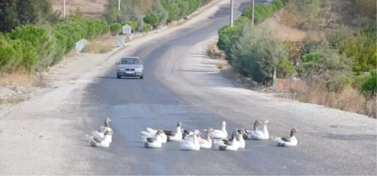 Kazlar Karayolunda Trafiği Etkiledi