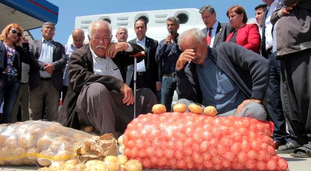 Patates Üreticisi Zor Durumda