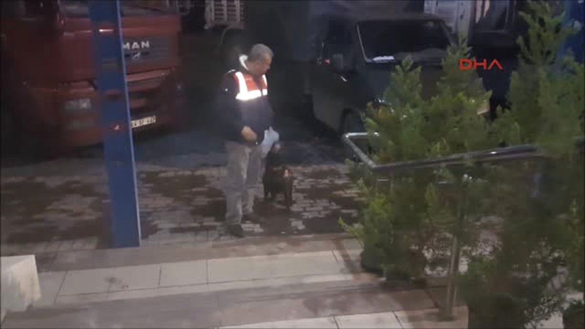 Sakarya Jandarmadan Kaçak Içki Operasyonu