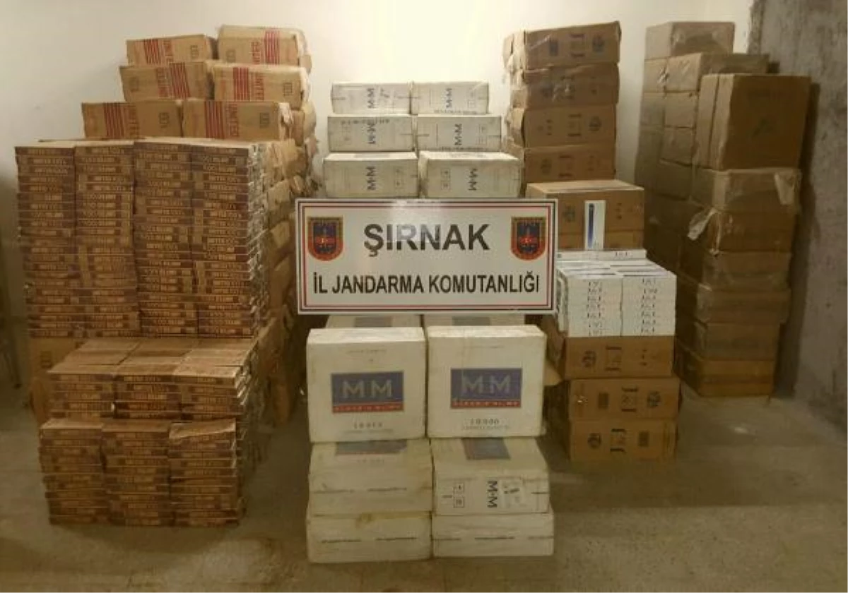 Şırnak\'ta 130 Bin Paket Kaçak Sigara Ele Geçirildi