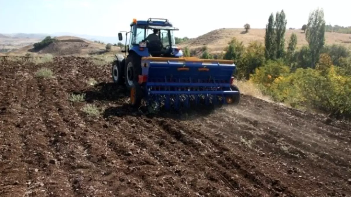 Edirne\'de Buğday Tohumları Toprakla Buluştu