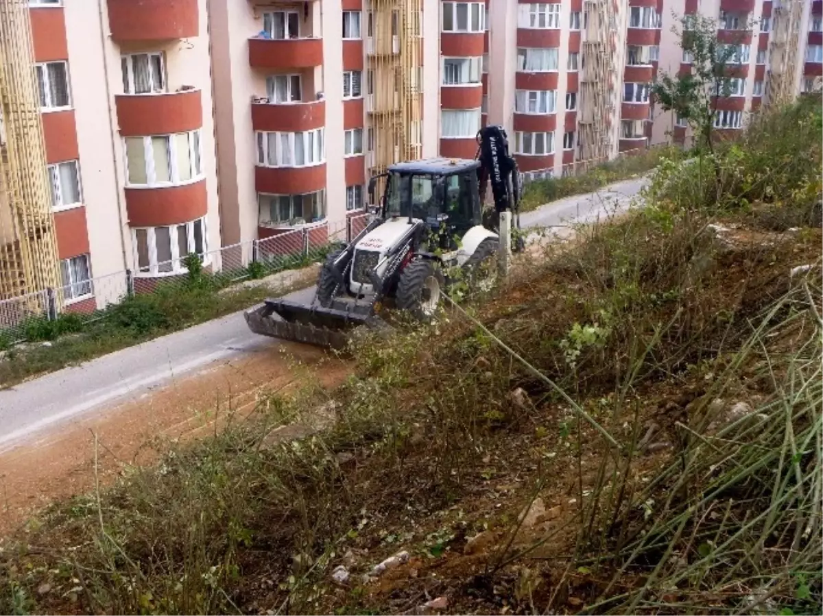 Yıllardır Atıl Durumdaki Otluk Alan Çok Amaçlı Bir Park Haline Getirilecek