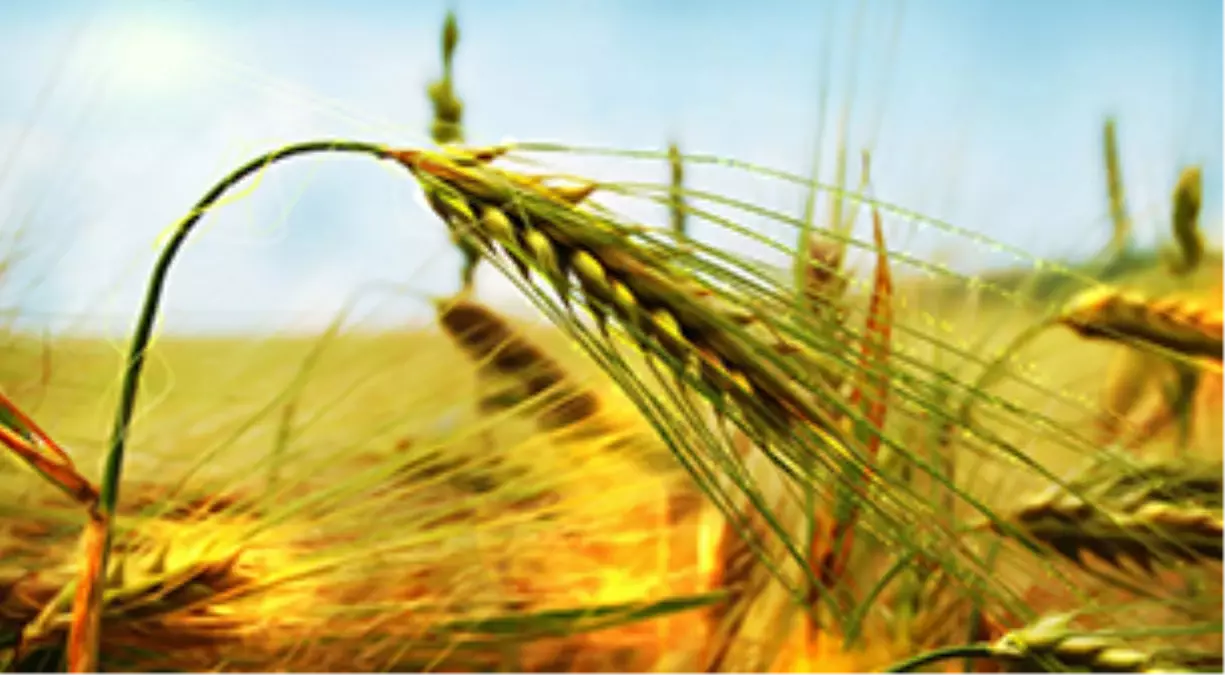 2.ege Tarım Hayvancılık, Süt Teknolojileri, Çiftlik Ekipmanları, Sera Teknolojileri Fuarı