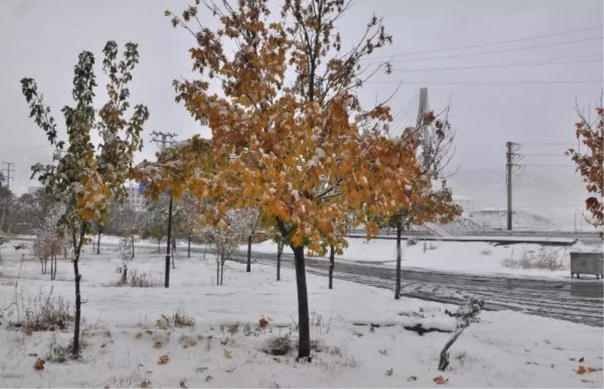 Bitlis\'te Mevsimin İlk Karı Yağdı