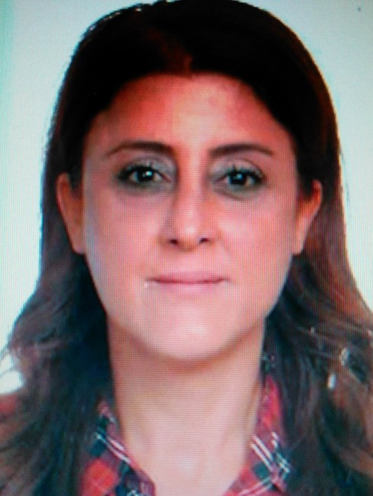 Erbil\'e Yerleşen Hdp\'li Meclis Üyesi İstifa Etti
