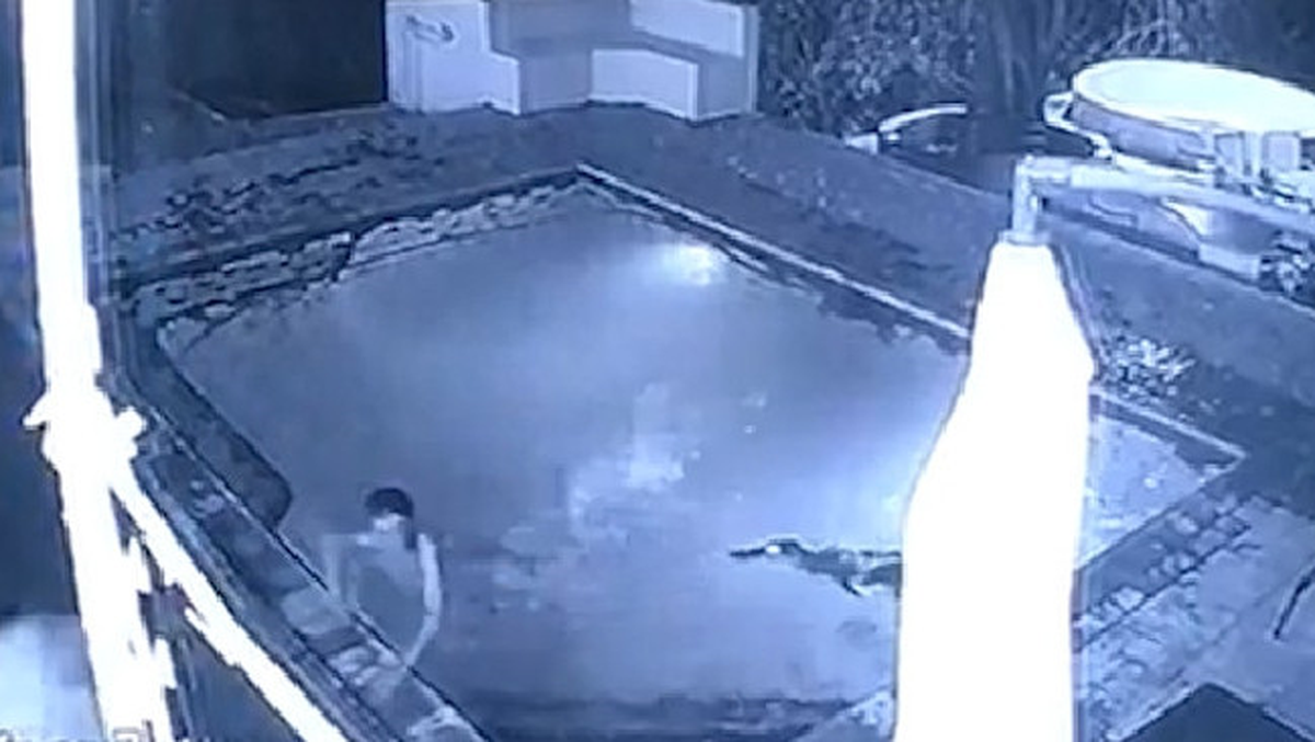 Havuzda Yüzerken Timsah Saldırısına Uğradılar