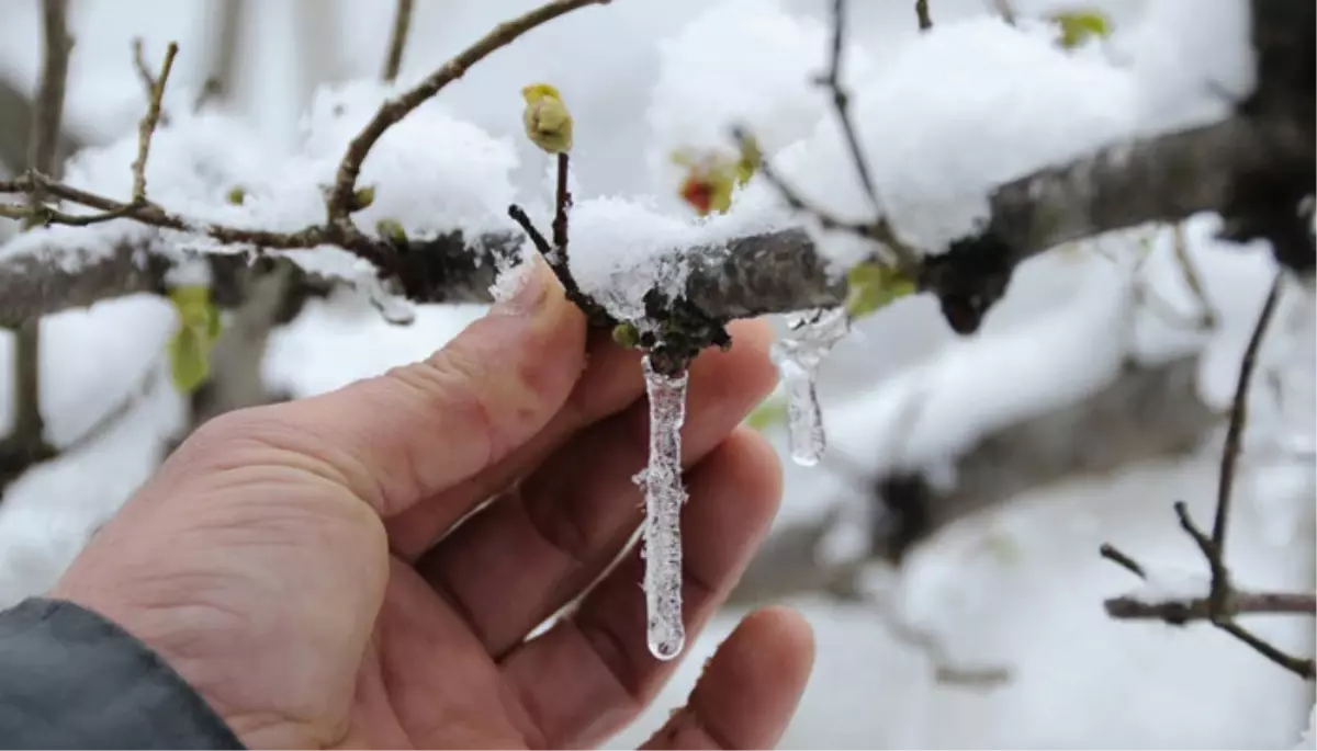 Meteorolojiden Zirai Don Uyarısı