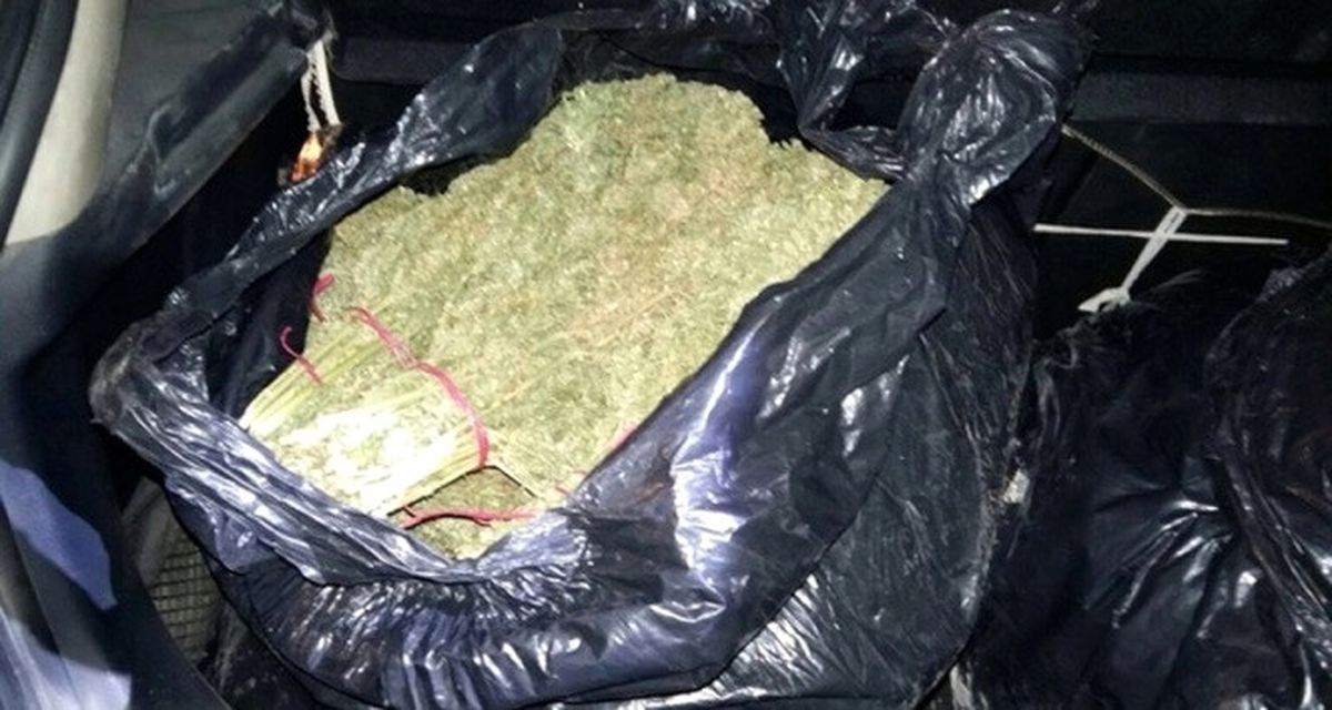 Minibüsten 54 Kilo Esrar Çıktı