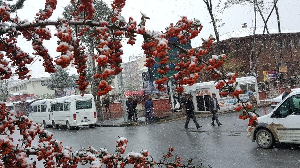 Tatvan Beyaza Büründü