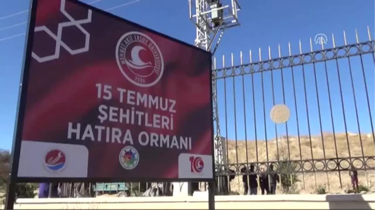 15 Temmuz Şehitleri Için Fidan Dikildi