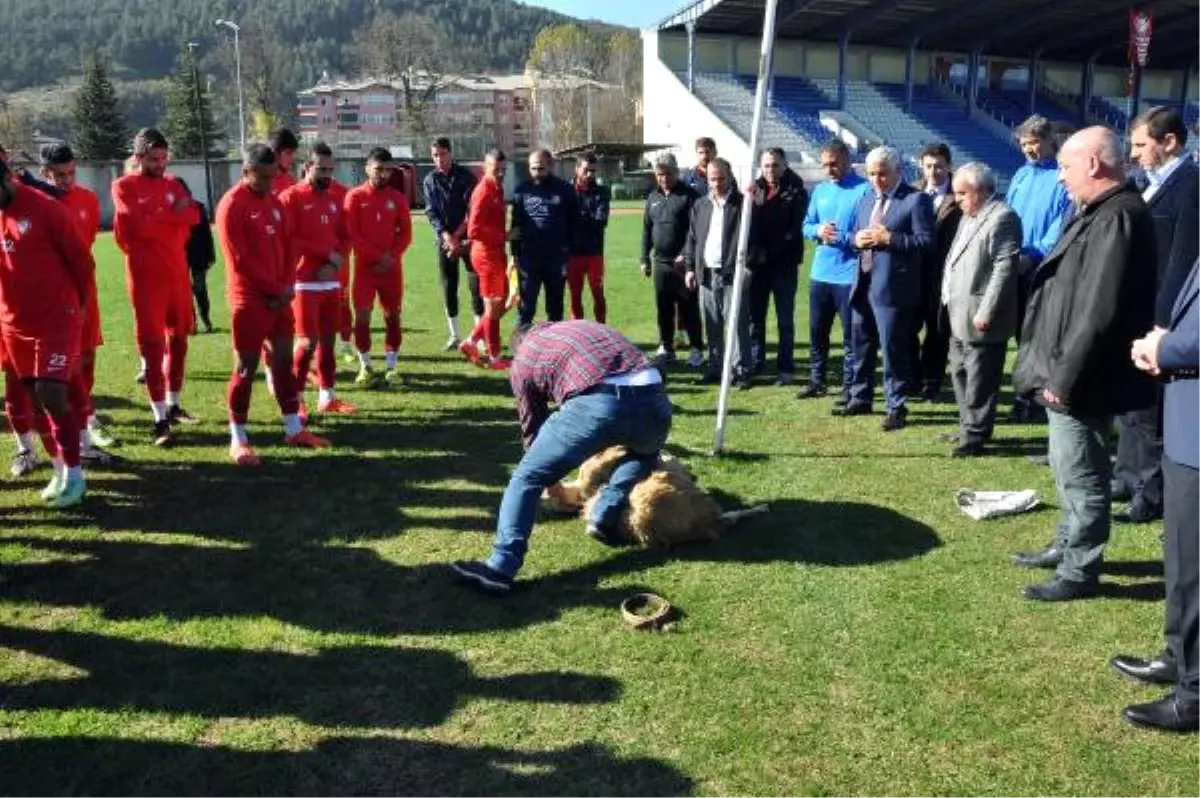 Galibiyet İçin Kurban Kestiler