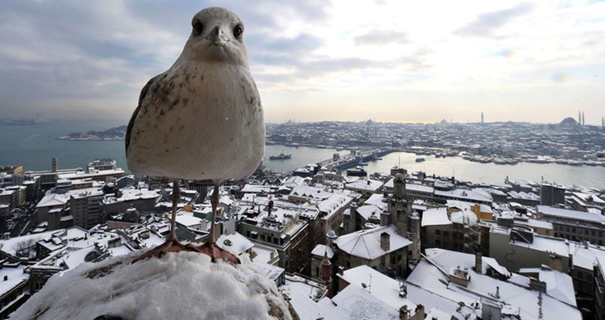 Meteoroloji Genel Müdürü: Bu Yıl Kış Çetin Geçmeyecek