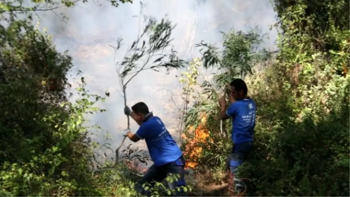 Dha Yurt Bülteni-10