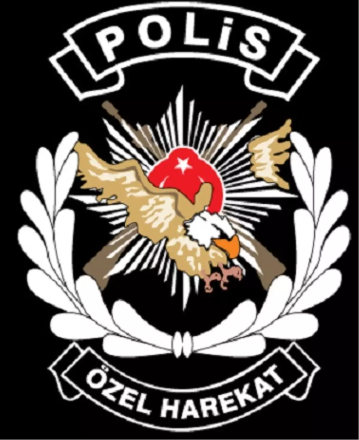 Polis Özel Harekat Başvuruları Nasıl Yapılır?